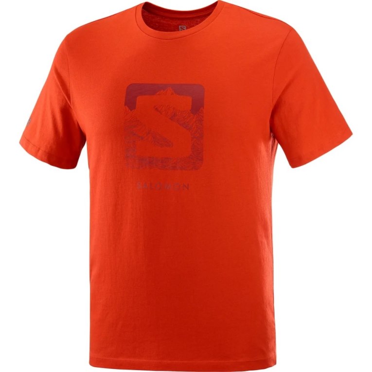 Pánské Tričko Salomon Outlife Logo Krátké Sleeve Oranžové | CZ 42RTMOI